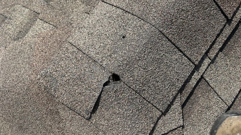 Common Signs You Need Asphalt Shingle Roof Repair